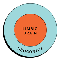 Neocortex-LimbicBrain